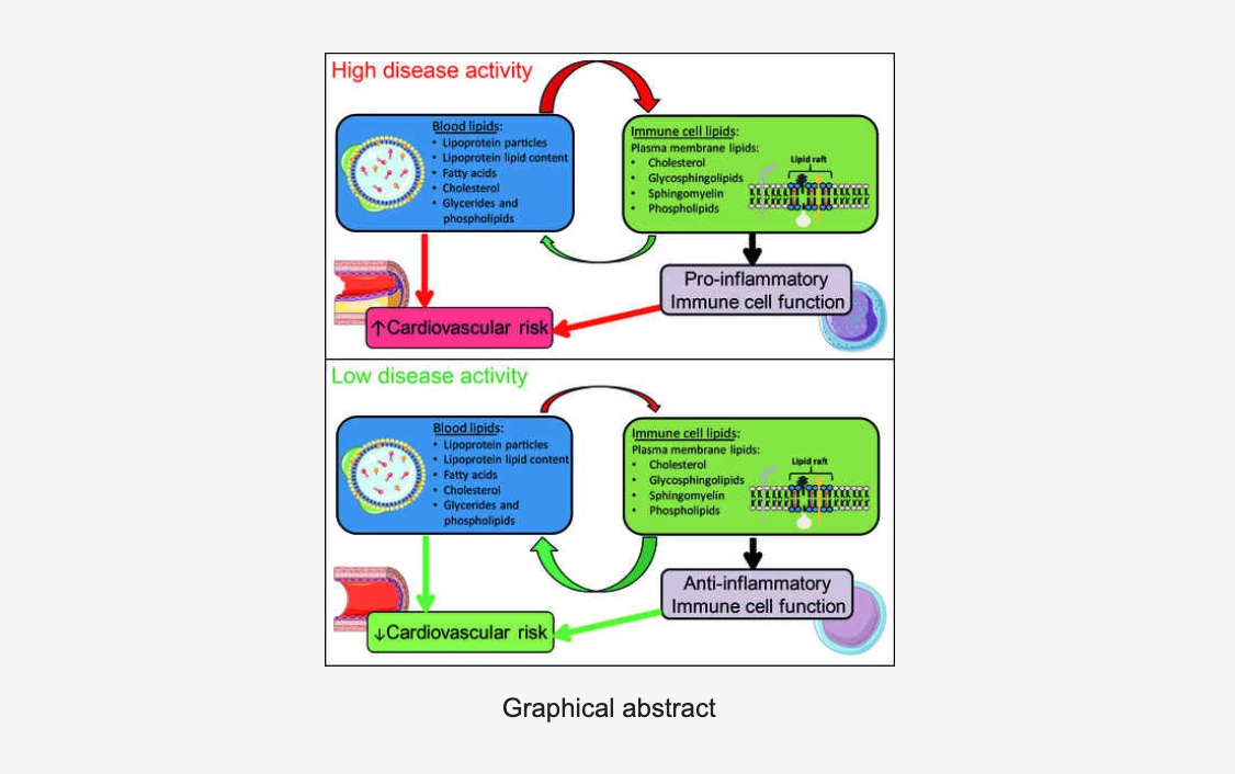 Spatially Mapping the Baseline and Bisphenol-A Exposed Daphnia magna Lipidome Using Desorption Electrospray Ionization—Mass Spectrometry