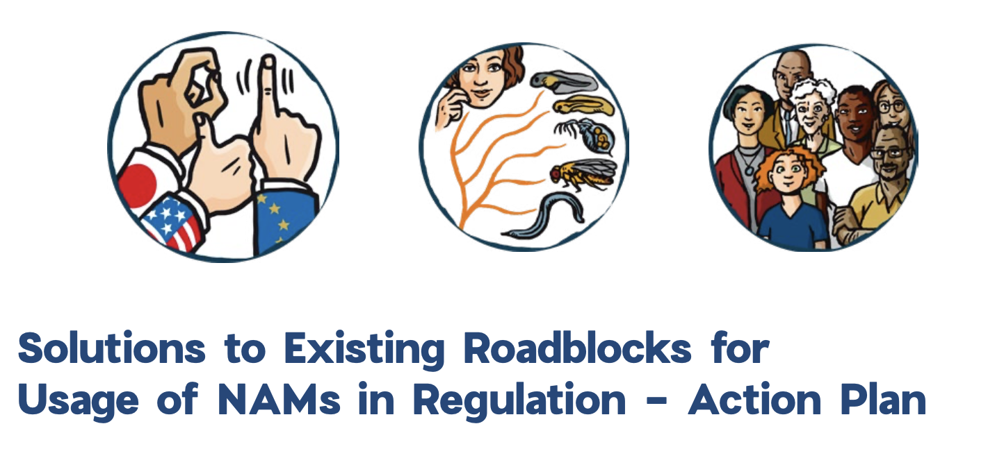 Policy Brief on Solutions to Existing Roadblocks for Usage of NAMs in Regulation